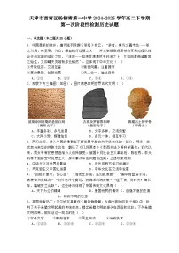 天津市西青区杨柳青第一中学2024-2025学年高二下学期第一次阶段性检测历史试题（解析版）