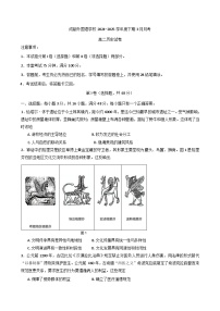 四川省成都外国语学校2024-2025学年高二下学期3月月考历史试卷
