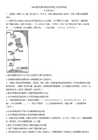 河南省开封市新世纪高级中学2024-2025学年高三下学期4月月考历史试题