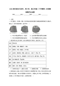 2025届河南省开封市、周口市、商丘市高三下学期第二次质量检测历史试题（无答案）
