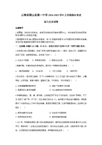 云南省文山壮族苗族自治州砚山县第一中学2024-2025学年高三上学期期末考试历史试题
