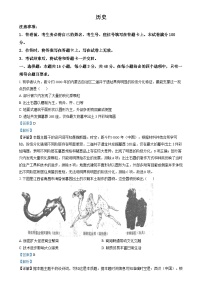 2025年1月内蒙古自治区普通高等学校招生考试适应性测试（八省联考）历史试题 Word版含解析