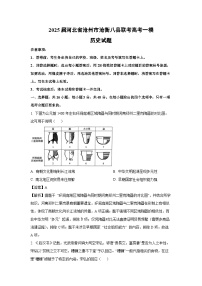 2025届河北省沧州市沧衡八县联考高考一模历史试卷（解析版）