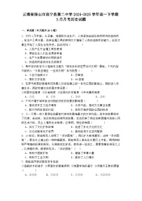 云南省保山市昌宁县第二中学2024-2025学年高一下学期3月月考历史试题（解析版）