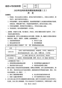 2025年宝鸡高考三模历史试题及答案