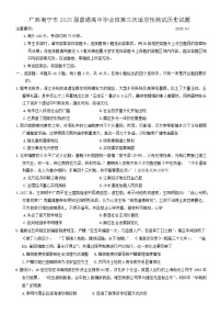 广西南宁市2025届高三第三次适应性测试历史试题（含答案）