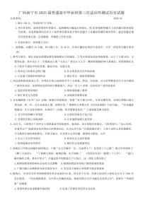 广西南宁市2025届高三高考模拟第二次适应性测试-历史试题+答案