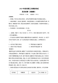 2025年高考第三次模拟考试（河南卷）历史试卷（解析版）
