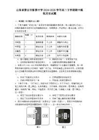 山东省泰安市新泰中学2024-2025学年高二下学期期中模拟历史试题（含解析）
