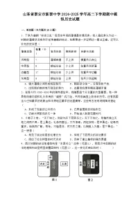 山东省泰安市新泰中学2024-2025学年高二下学期期中模拟历史试题（含解析）