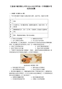 江西省丰城市第九中学2024-2025学年高一下学期期中考试历史试题（含解析）