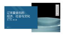 人教统编版(必修)中外历史纲要(上)辽宋夏金元的经济与社会背景图ppt课件