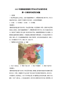 2025年湖南省普通高中学业水平合格性考试第一次模拟考试历史试卷（解析版）