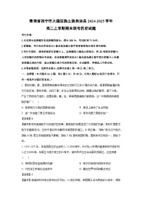 青海省西宁市大通回族土族自治县2024-2025学年高二上学期期末联考历史试卷（解析版）