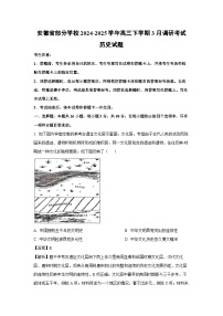 安徽省部分学校2024-2025学年高三下学期3月调研考试历史试卷（解析版）