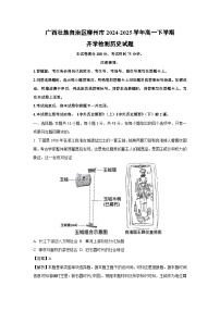 广西壮族自治区柳州市2024-2025学年高一下学期开学检测历史试卷（解析版）