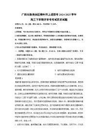 广西壮族自治区柳州市上进联考2024-2025学年高三下学期开学考考试历史试卷（解析版）