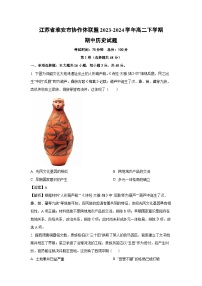 江苏省淮安市协作体联盟2023-2024学年高二下学期期中历史试卷（解析版）