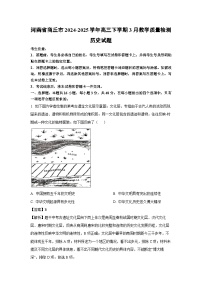 河南省商丘市2024-2025学年高三下学期3月教学质量检测历史试卷（解析版）