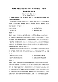 湖南省名校联考联合体2024-2025学年高二下学期期中考试历史试题（解析版）