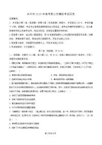 湖南省永州市2025届高三下学期三模历史试卷（Word版附解析）