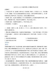湖南省永州市2025届高三下学期三模历史试卷  含解析