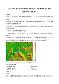 2024-2025学年湖北省武汉市武昌区高二历史下学期期末质量检测试卷（附答案）