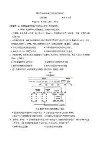 2025届江西省赣州市高三下学期适应性考试（二模）历史试题（含答案）