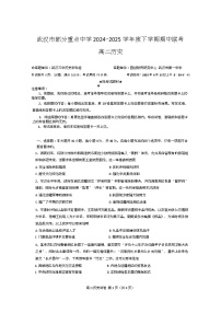 湖北省武汉市部分重点中学2024-2025学年高二下学期期中联考历史试题（Word版附答案）