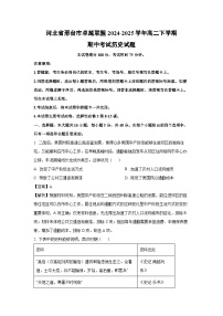 河北省邢台市卓越联盟2024-2025学年高二下学期期中考试历史试卷（解析版）