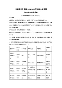 云南省部分学校2024-2025学年高二下学期期中联考历史试卷（解析版）