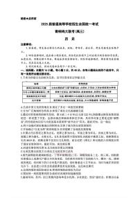 2025年青桐鸣高考模拟历史试题及答案