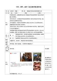 高中历史人教统编版选择性必修2 经济与社会生活新航路开辟后的食物物种交流教案
