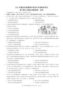 重庆市康德卷2025届高三下学期5月第三下学期次诊断-历史试题+答案