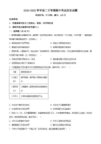 四川省眉山中学校2024-2025学年高二下学期期中考试历史试题（原卷版+解析版）
