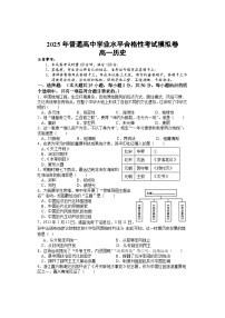湖南省邵阳市武冈市2024-2025学年高一下学期学业水平合格性考试模拟卷历史试题（含答案）