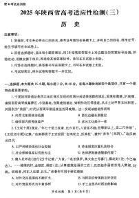 2025届陕西省高考适应性检测（三）历史试题+答案