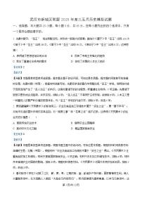 湖北省武汉市新城区联盟2024-2025学年高三下学期五月模拟历史试题 含解析