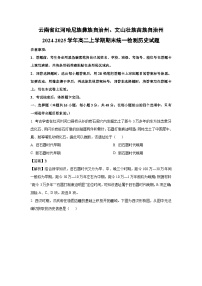 云南省红河哈尼族彝族自治州、文山壮族苗族自治州2024-2025学年高二上学期期末统一检测历史试题（解析版）