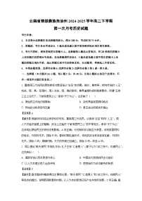云南省楚雄彝族自治州2024-2025学年高二下学期第一次月考历史试题（解析版）