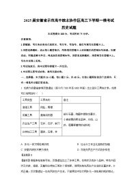 2025届安徽省示范高中皖北协作区高三下学期一模考试历史试题（解析版）