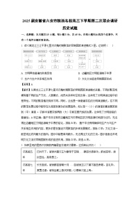 2025届安徽省六安市皖西名校高三下学期第二次联合调研历史试题（解析版）