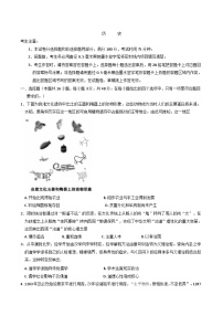 2025届安徽省皖江名校高三下学期联考最后一卷历史试题（含解析）