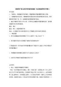 高中历史人教版 (新课标)必修2 经济史殖民扩张与世界市场的拓展学案