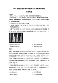 2025届河北省邯郸市名校高三下学期模拟预测历史试题（解析版）