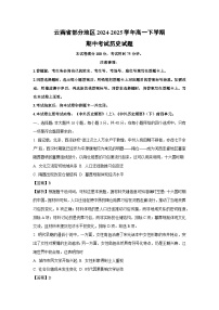 云南省部分地区2024-2025学年高一下学期期中考试历史试题（解析版）