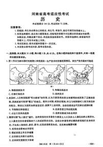 2025届河南省部分高中高三下学期适应性考试（三模）历史试题（高考模拟）