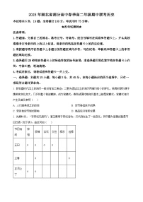 湖北省黄冈市十五校2024-2025学年高二下学期期中联考历史试题（原卷版+解析版）