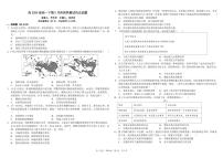 四川省成都市树德中学2024-2025学年高一下学期5月月考历史试卷（PDF版附答案）