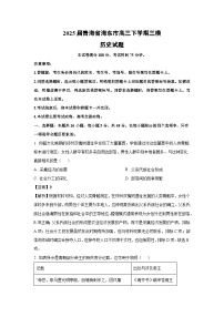 2025届青海省海东市高三下学期三模历史试卷（解析版）
